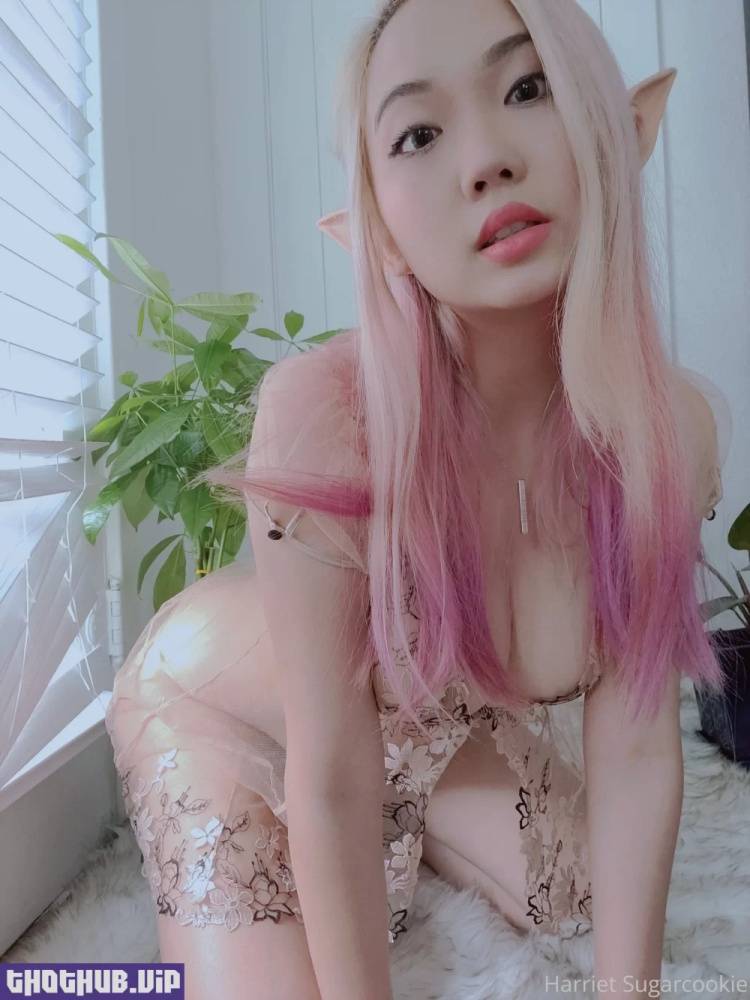 harriet sugarcookie new hot onlyfans leaked nudes - #8