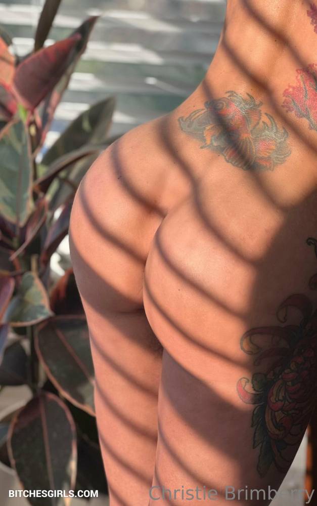 Christie Brimberry Nude Milf - Christie Nude Videos Milf - #8