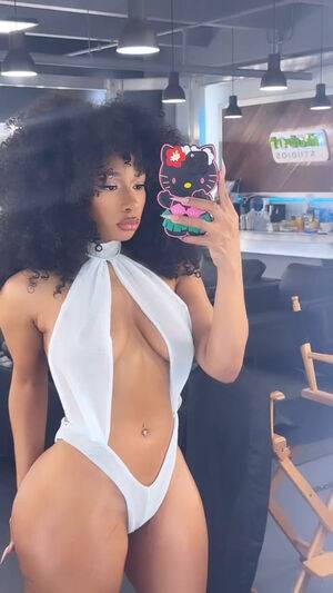 Megan Thee Stallion / megan_renee316 / theestallion Nude Leaks - #16