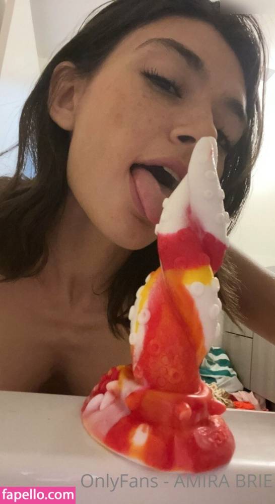 Amirabrie / amirabrie Nude Leaks OnlyFans - TheFap - #16