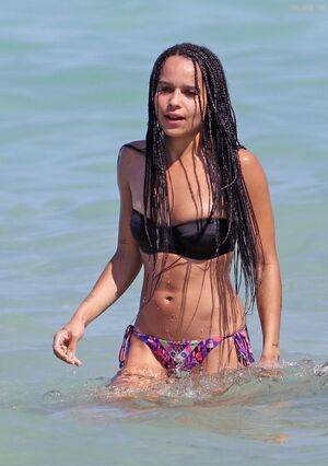 Zoë Kravitz / zoeisabellakravitz Nude Leaks - Fapello - #21