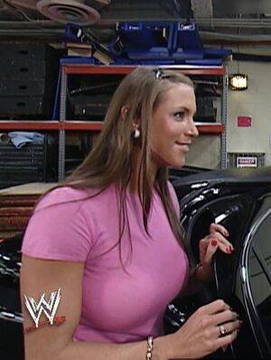 Stephanie McMahon / stephaniemcmahon Nude Leaks - Fapello - #8